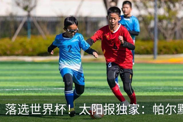 落选世界杯！太阳报独家：帕尔默周三与朋友畅饮狂欢，被美女围绕
